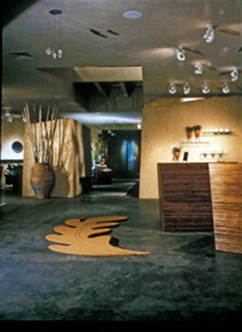 Going with the Flow: How to Integrate Feng Shui into the Salon