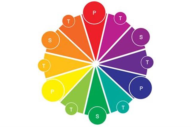 Color Captivated