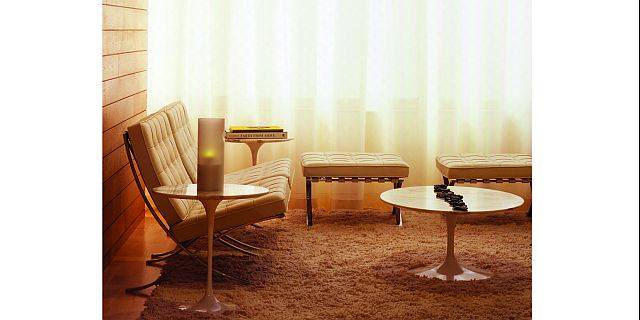 Going for the Green: Eco-Conscious Salons