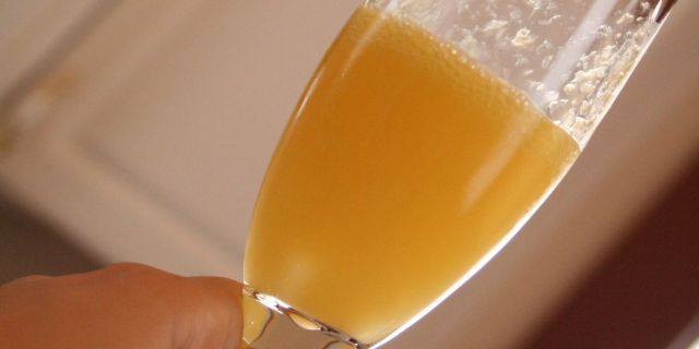 The Color of 2009: Mimosa
