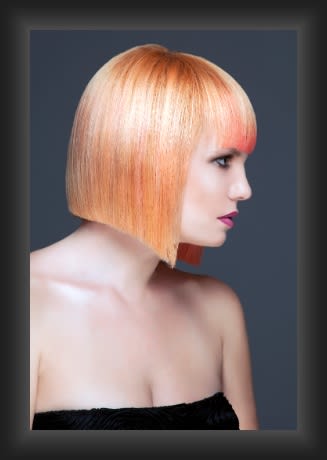 Summer Into Fall Color: Guy Auclair's Collection Inspired by New England