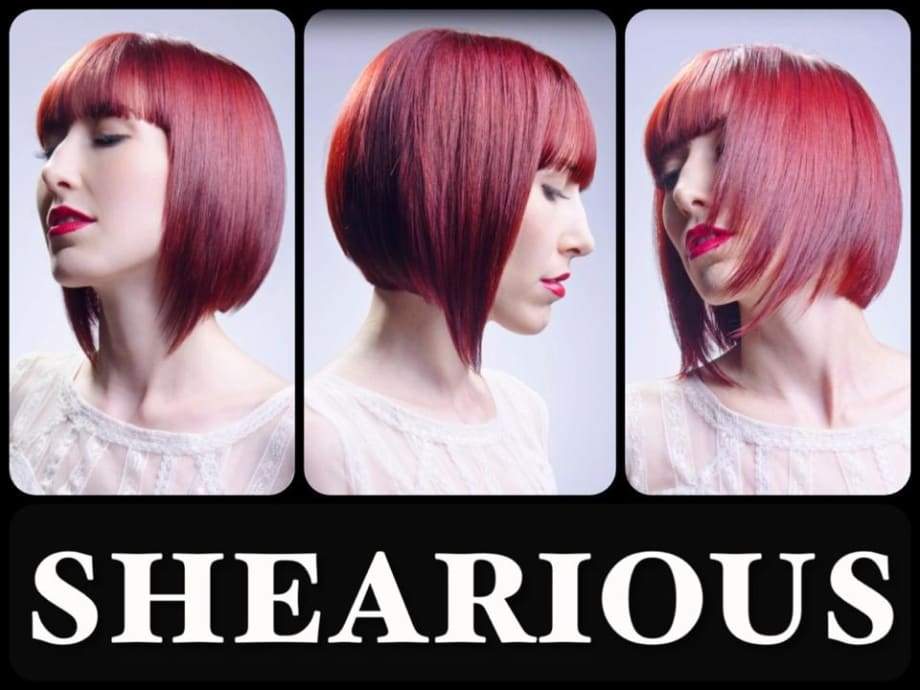 2013 In Salon Collection