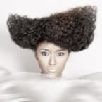 2011 NAHA Finalists - Texture