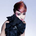 Joico's Le Graphique, Volume II