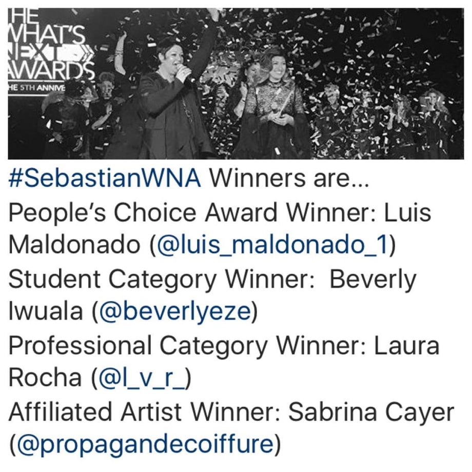 Sebastian Professional's What's Next Awards 2017, Winners Announced