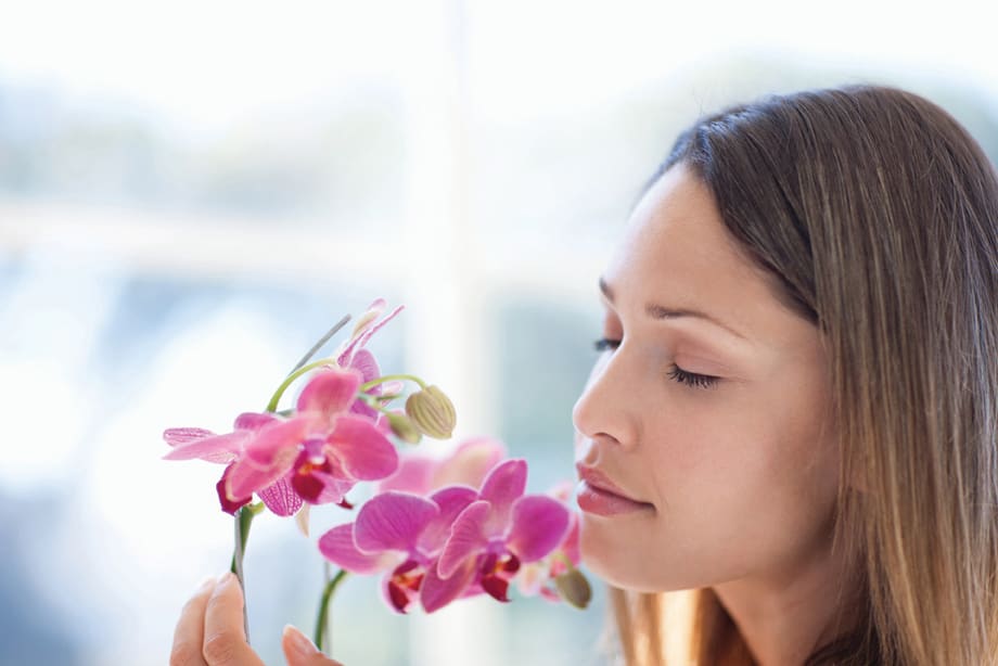 The Science of Scent: Why Product Fragrance Matters