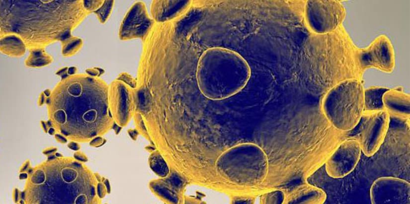 Rentokil Adds Disinfection Service for Vehicles