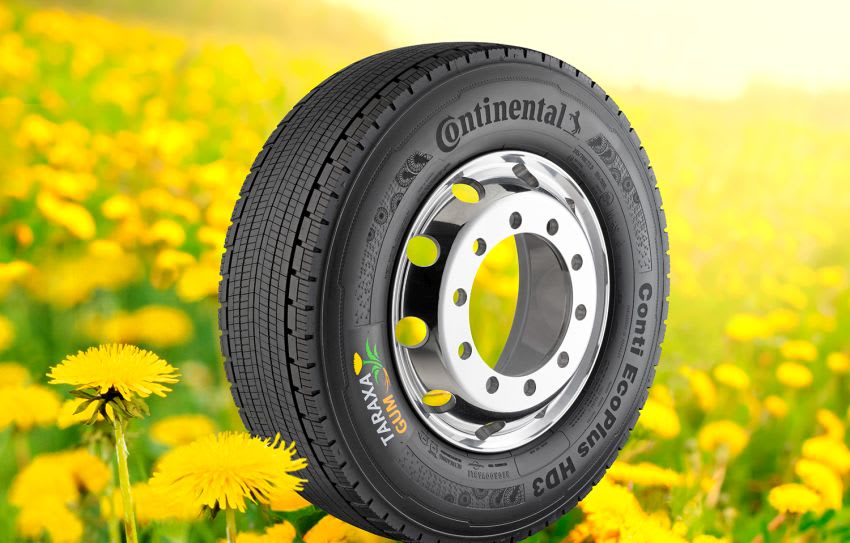 Continental Opens Research Lab for Dandelion Rubber