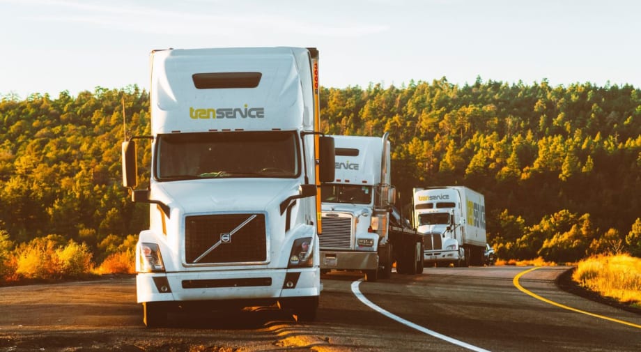 Transervice Logistics Collects Food for the Hungry