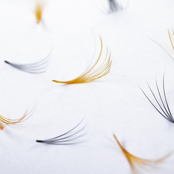 Out-Of-The-Box Lash Ideas
