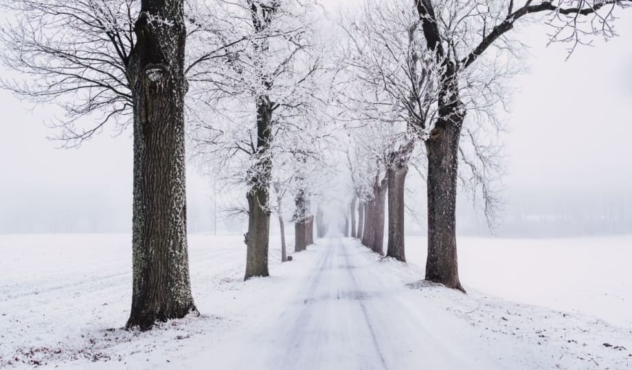 Staying Safe in the Winter with Telematics