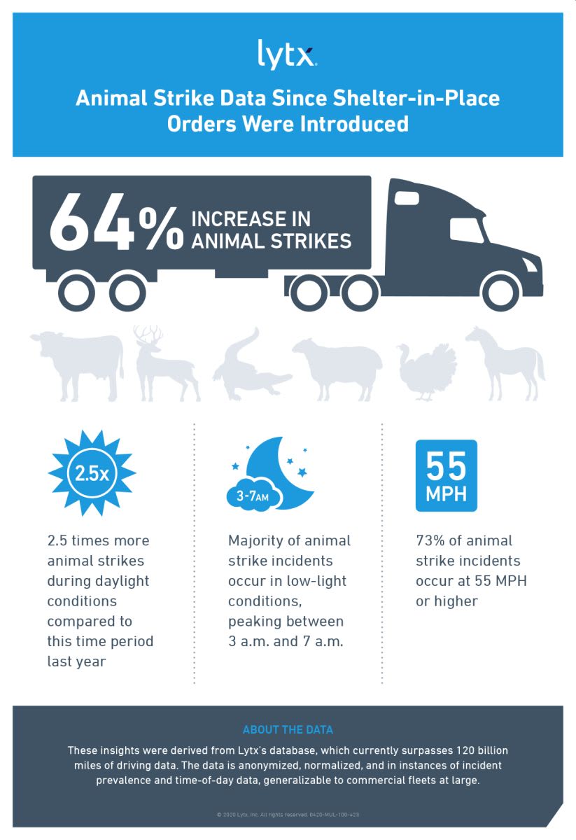 Updated Data on COVID-19's Impact on Road Risk