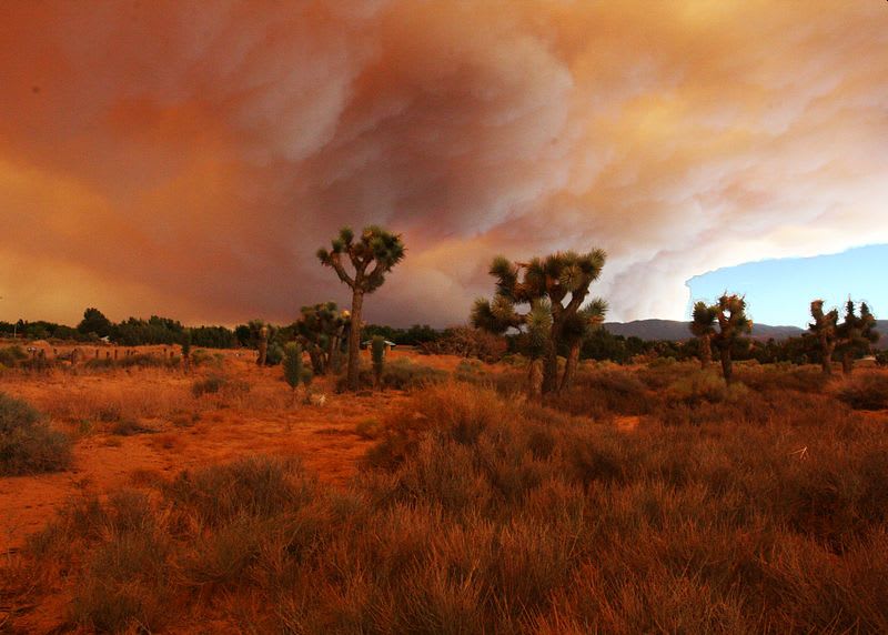 Sempra Energy Donates $250K to California Fire Foundation