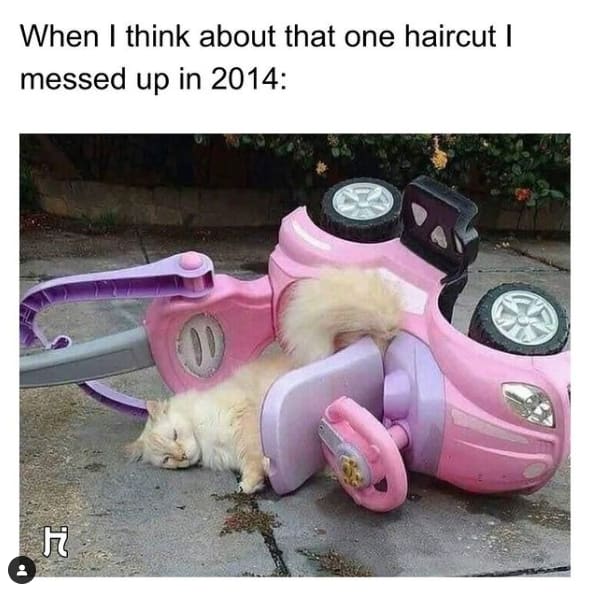 MODERN's 9 Funniest Instagram Posts of 2021
