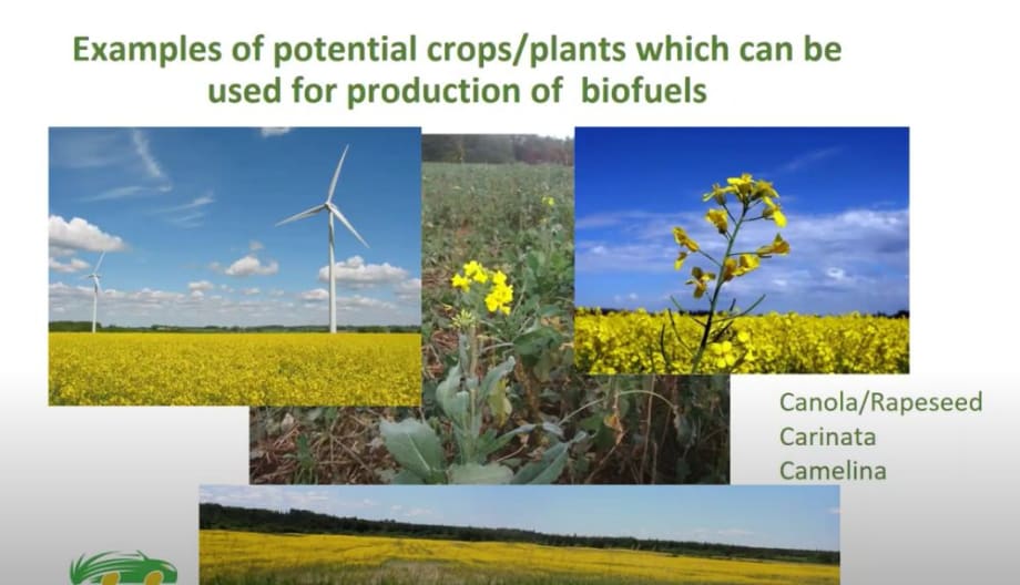 What's Used to Make Renewable Fuels?