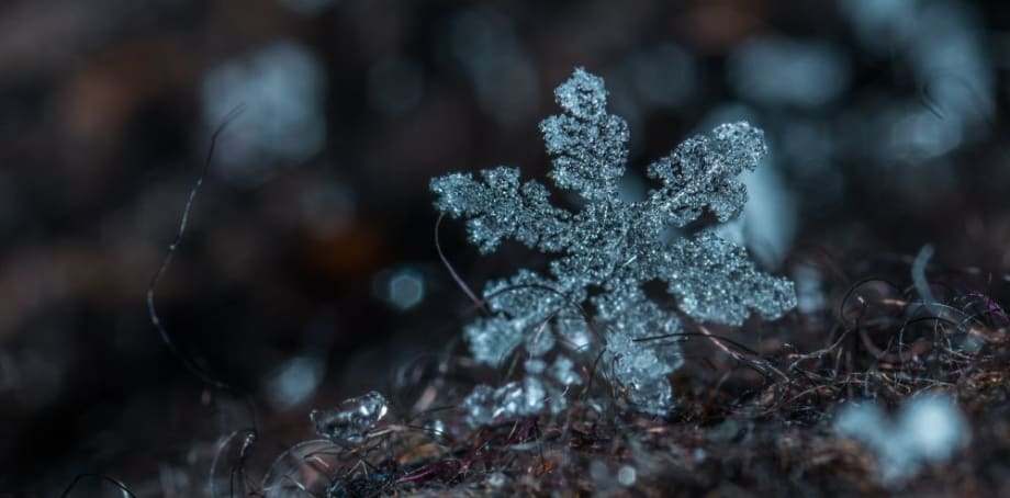 5 Tips for Winter Storm Survival