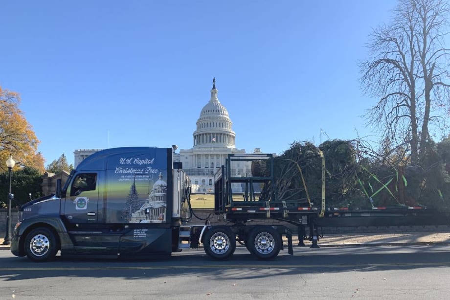 System Transport Drivers Deliver Capitol Christmas Tree in Kenworth T680 Next Gen