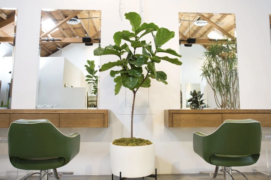 2022 Salon Interior Design Trends 