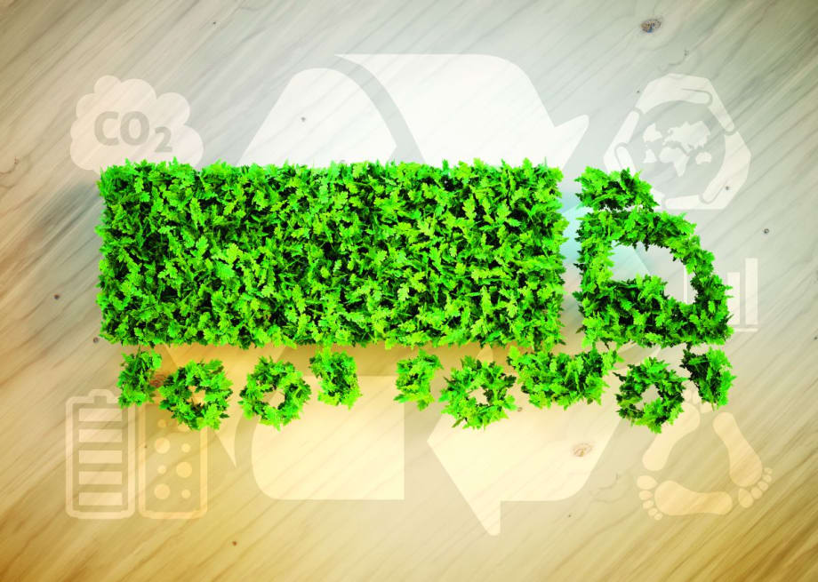 What to Know Before You Choose an Alt-Fuel Vehicle