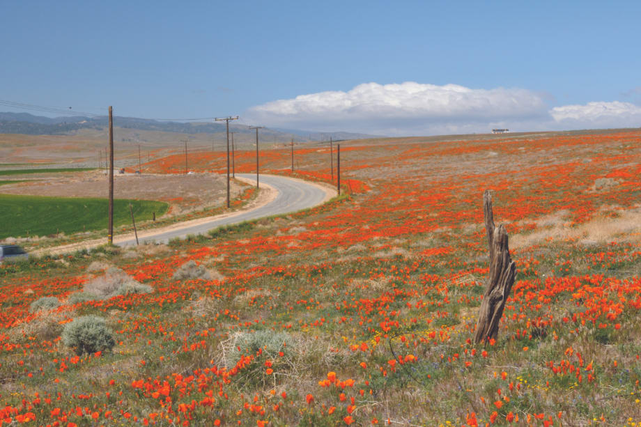 Project Looks to Bring High-Speed Rail to California’s High Desert