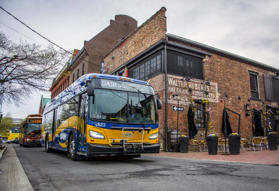 Planning Optimal Bus Replacement Lifecycles