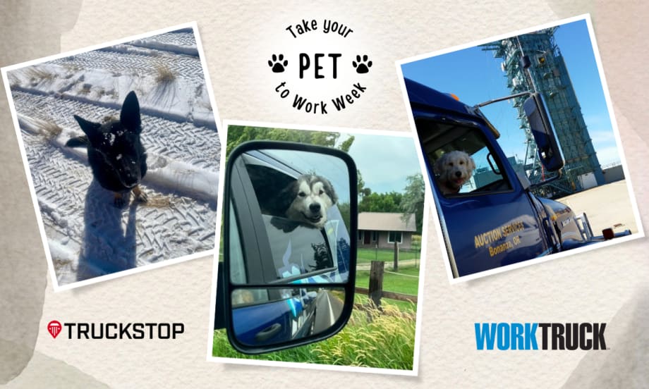 50% of Professional Truckers Travel with Pets