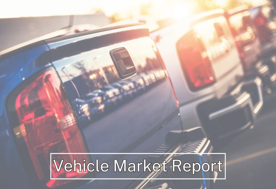 Vehicle Market Report: June 2023