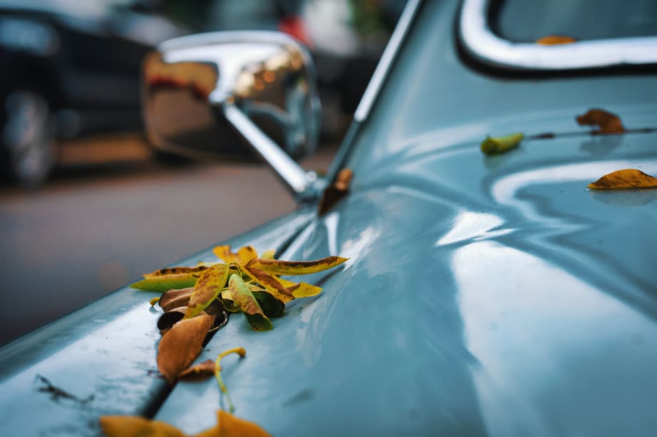 Safety Tips for Driving in Fall Weather