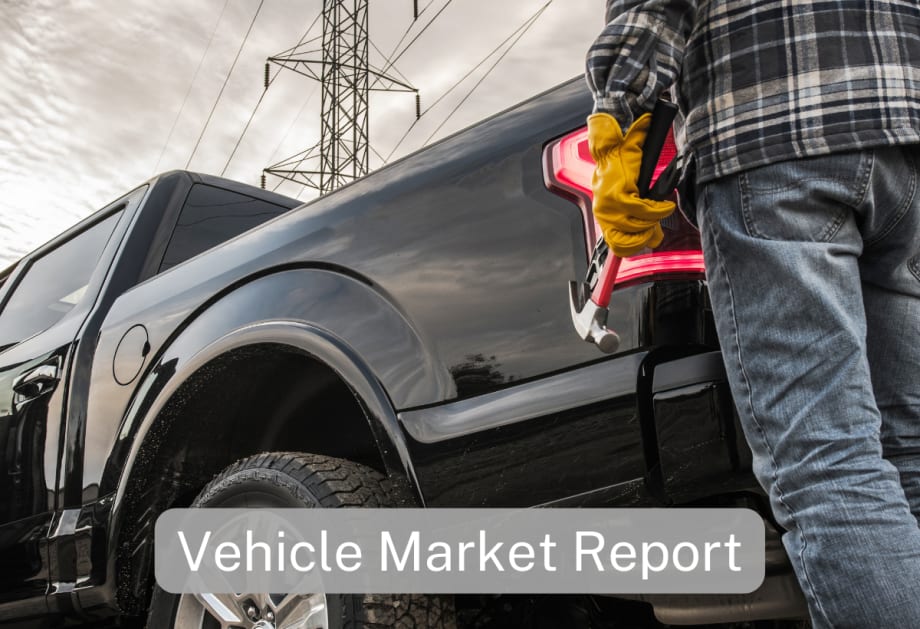 Vehicle Market Report: August 2023