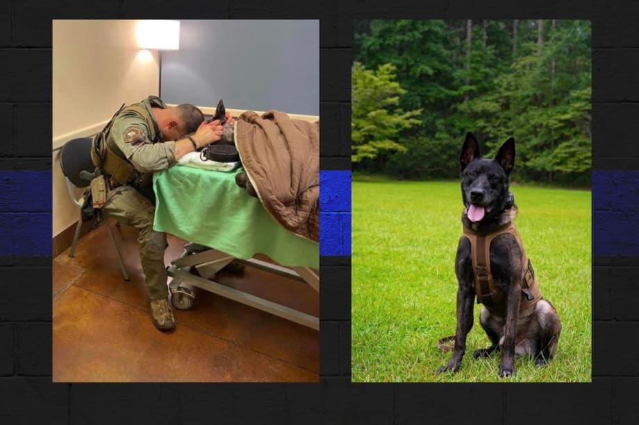 SC Deputy Shot in Head, K9 Killed, Suspect Killed by SWAT
