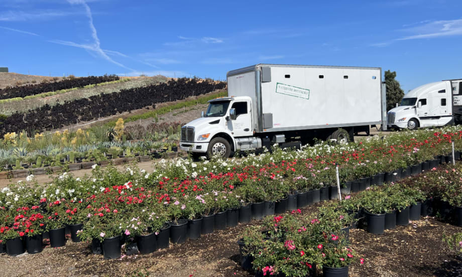 Growing Success With Leased Trucks & High Driver Retention