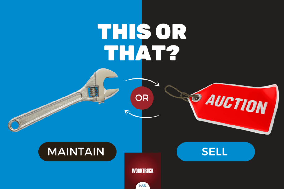 A Fleet Balancing Act: Maintain or Sell?