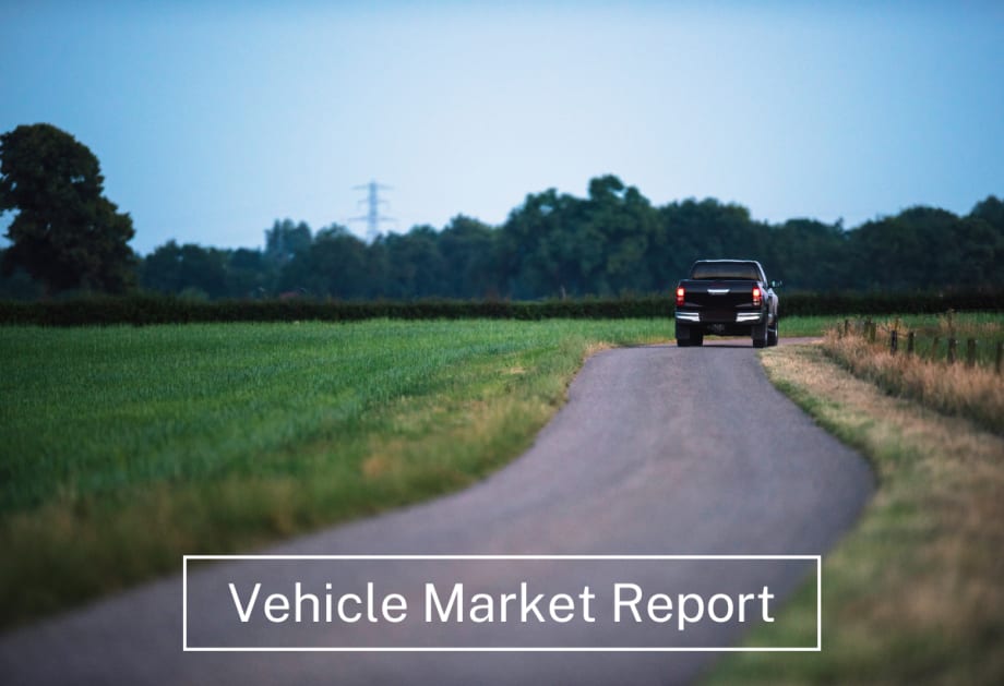 Vehicle Market Report: November 2023