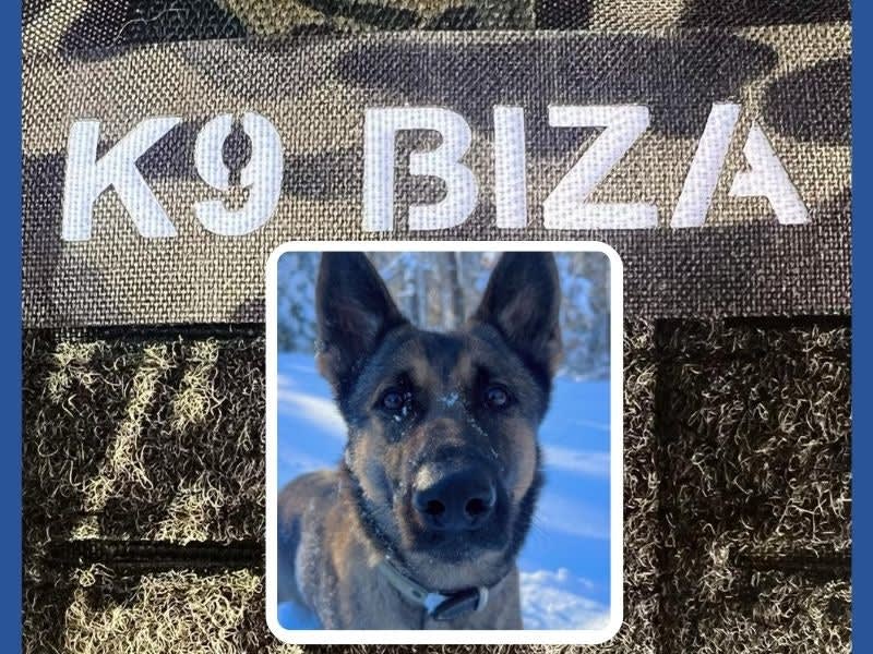 Police K9 Leads MA Officers to Missing Child in Freezing Conditions