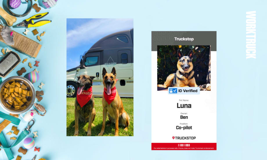 Take Your Pet to Work Week: Truckstop Shines a Spotlight on ImPAWsters