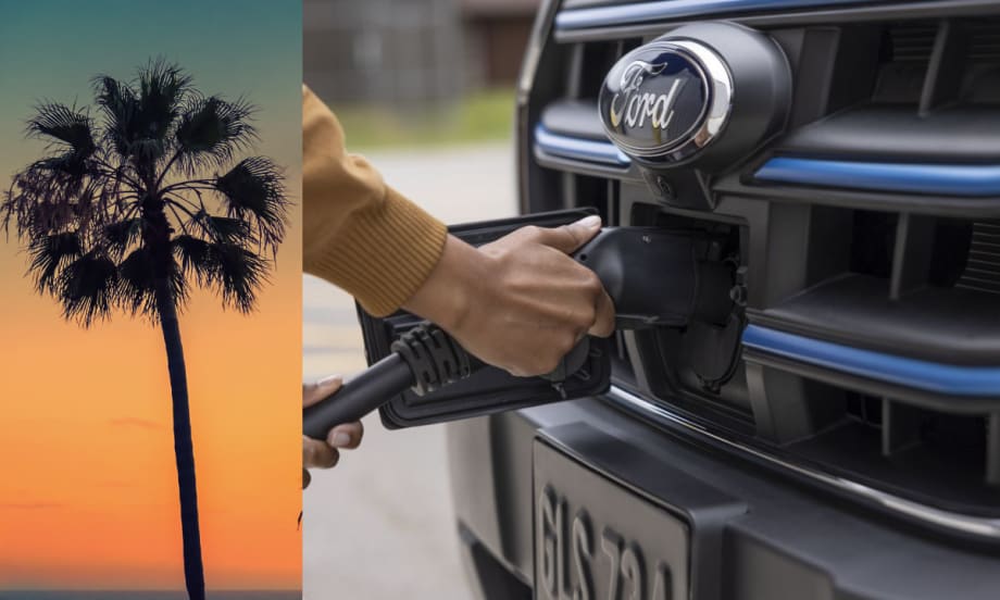 Ford electric charging up close and a Palm Tree