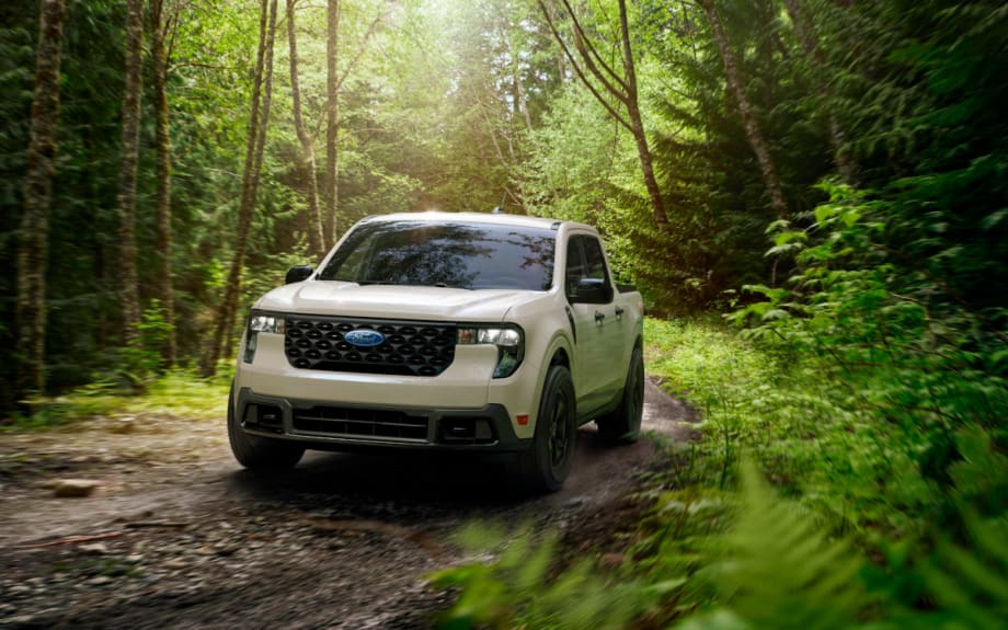 Pickup truck driving on a dirt road through a forest.
