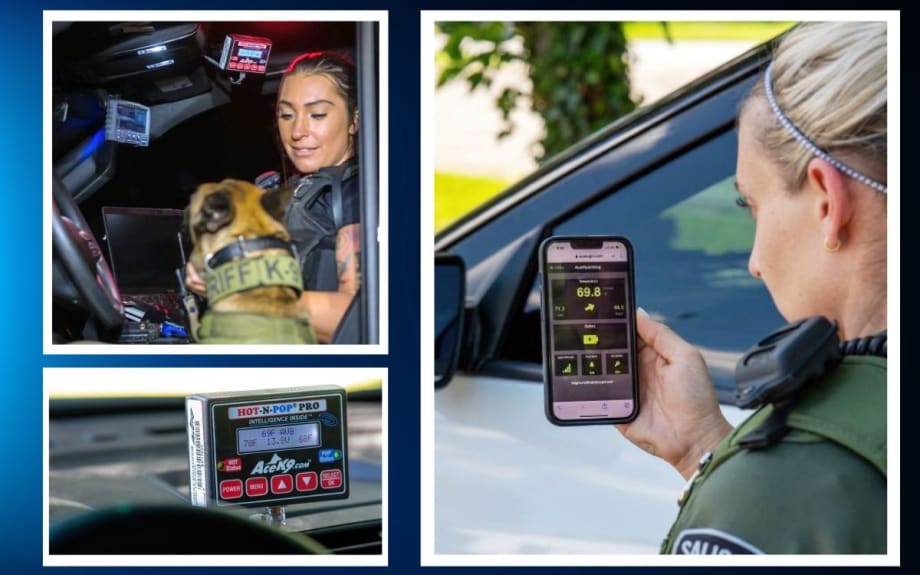 Tapping Into Tech to Save K-9 Lives