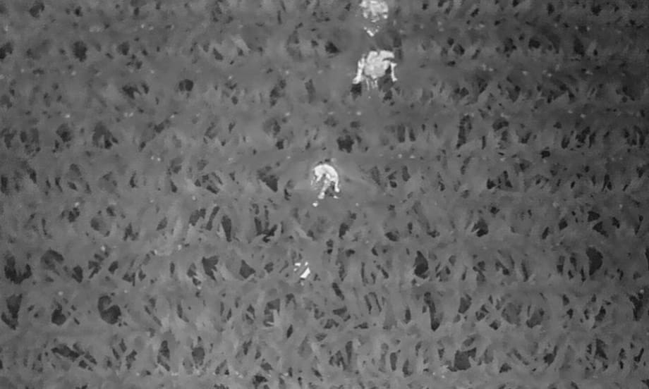 Video: Thermal-Imaging Drone Finds 3-Year-Old Lost in Cornfield at Night