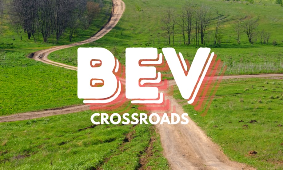 Battery Electric Vehicle (BEV) Brand Leadership at a Crossroads