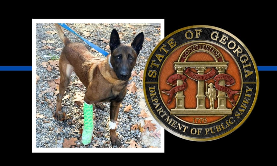 U.S. Marshalls Offer $5k Reward for Man Who Shot Trooper’s K-9