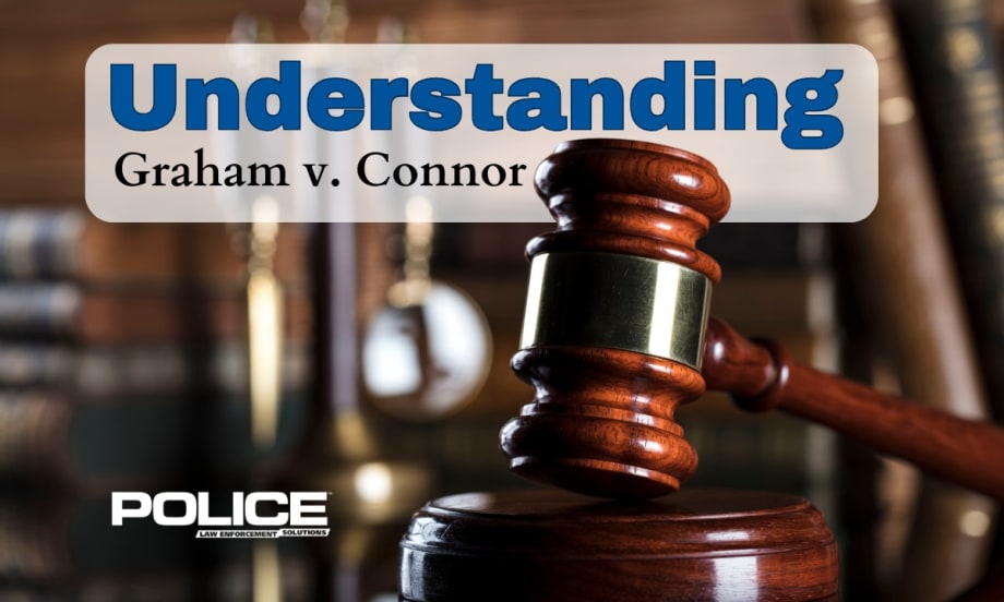 Understanding Graham v. Connor
