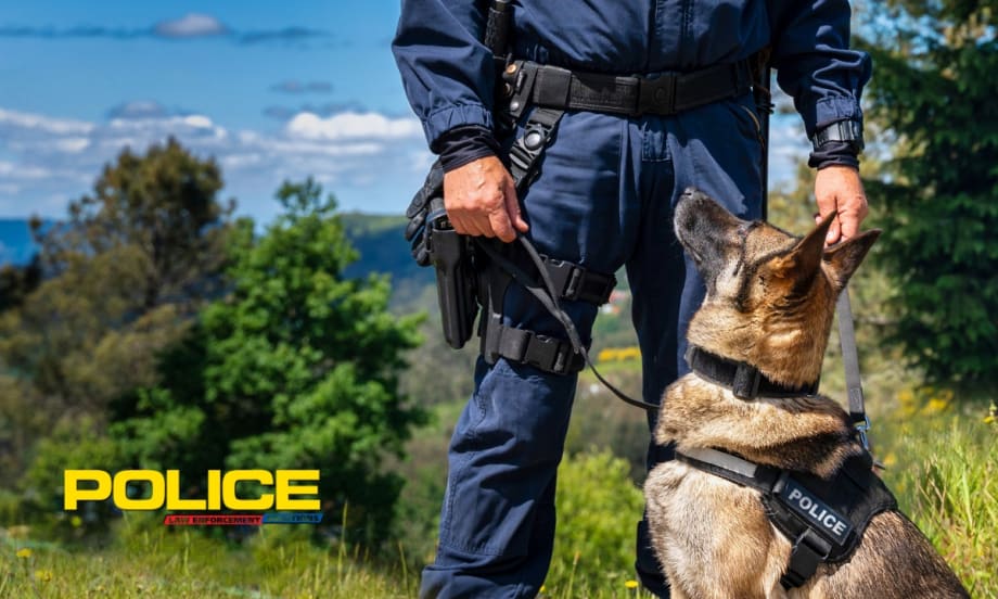Top 7 Do's and Don'ts for Police K-9s Units