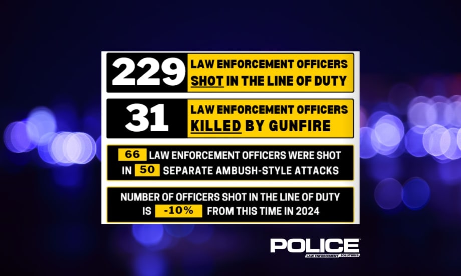 Police statistics graphic showing 229 officers shot, 31 killed in line of duty in 2024