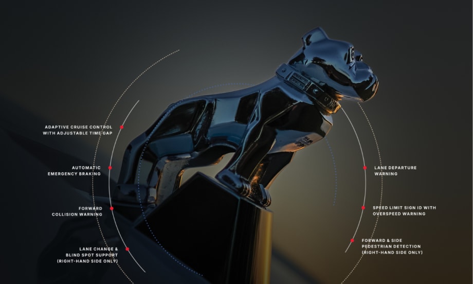 Bulldog statue against a grayish background and small text explaining features of new safety tech.