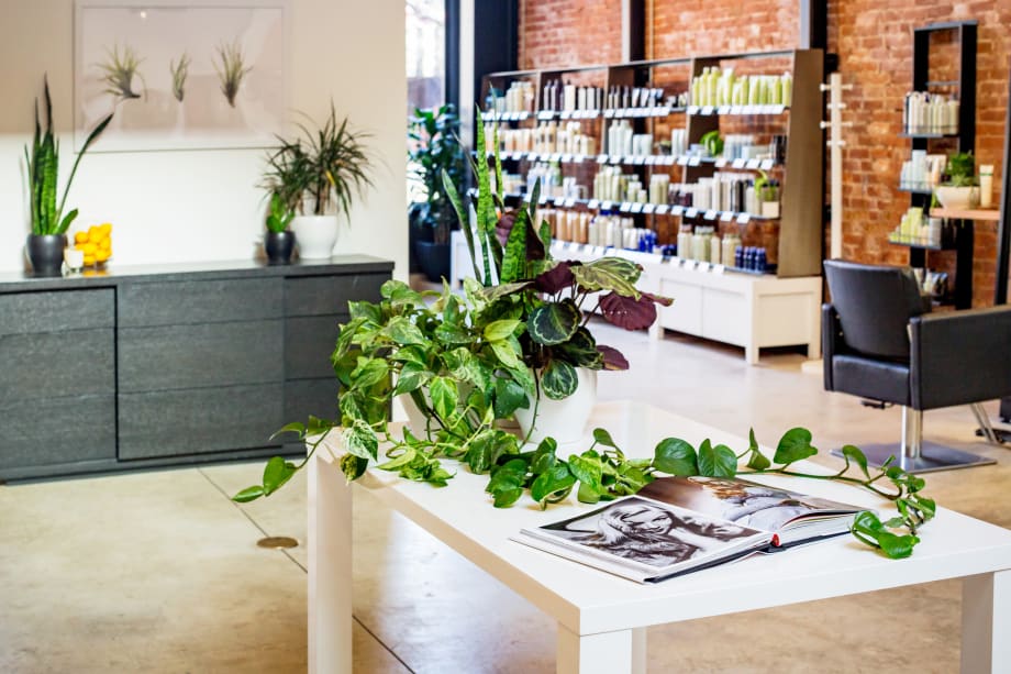 2018 Salons of the Year: Citrus Salon