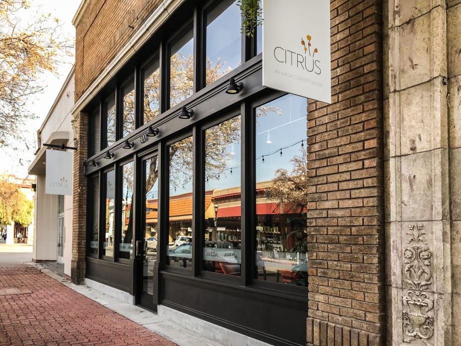 2018 Salons of the Year: Citrus Salon