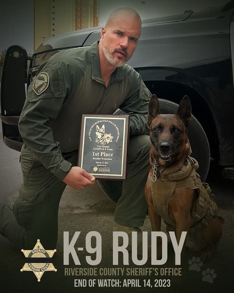 CA Sheriff’s K9 and Wanted Felon Killed in Friday Incident