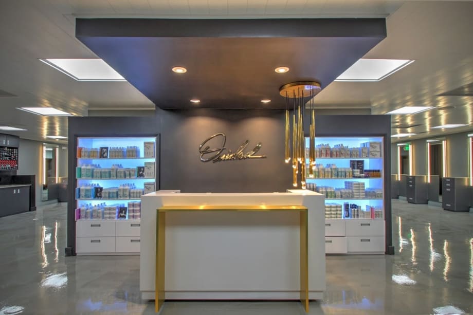 Salons of the Year 2017: Ouidad Salon_FL by Chadwick and Igor