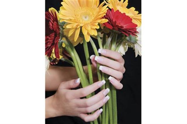 Contessa Winners 2006 - present  [Canada’s Nail Art Awards]